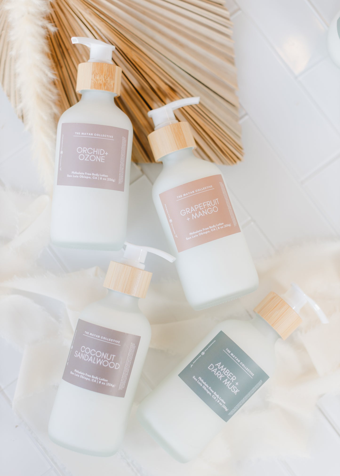 Coconut + Sandalwood Body Lotion